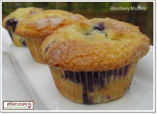 Blueberry Muffin Recipe
