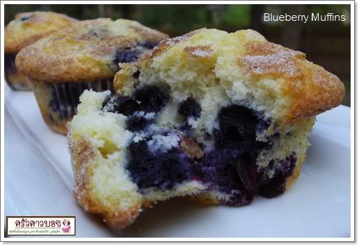 Blueberry Muffin Recipe