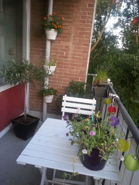 20130721_213649.jpg