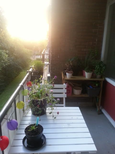 20130721_213702.jpg