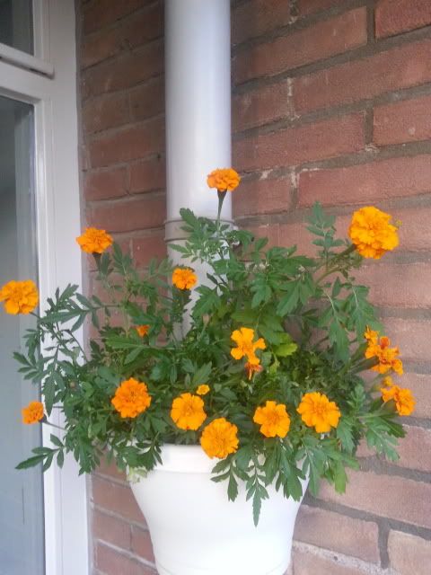 20130721_213745.jpg