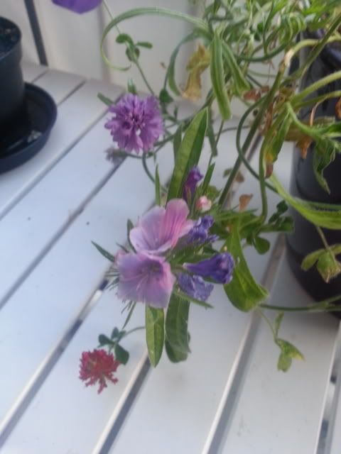 20130721_213858.jpg