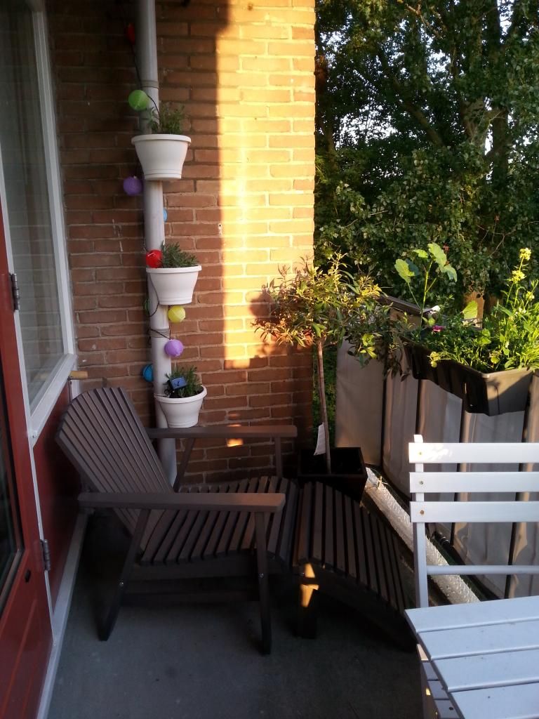 20140804_204614.jpg