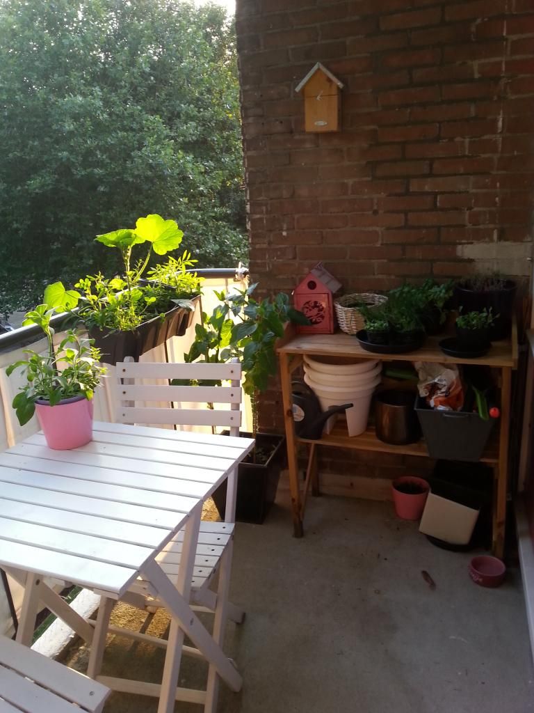 20140804_204622.jpg
