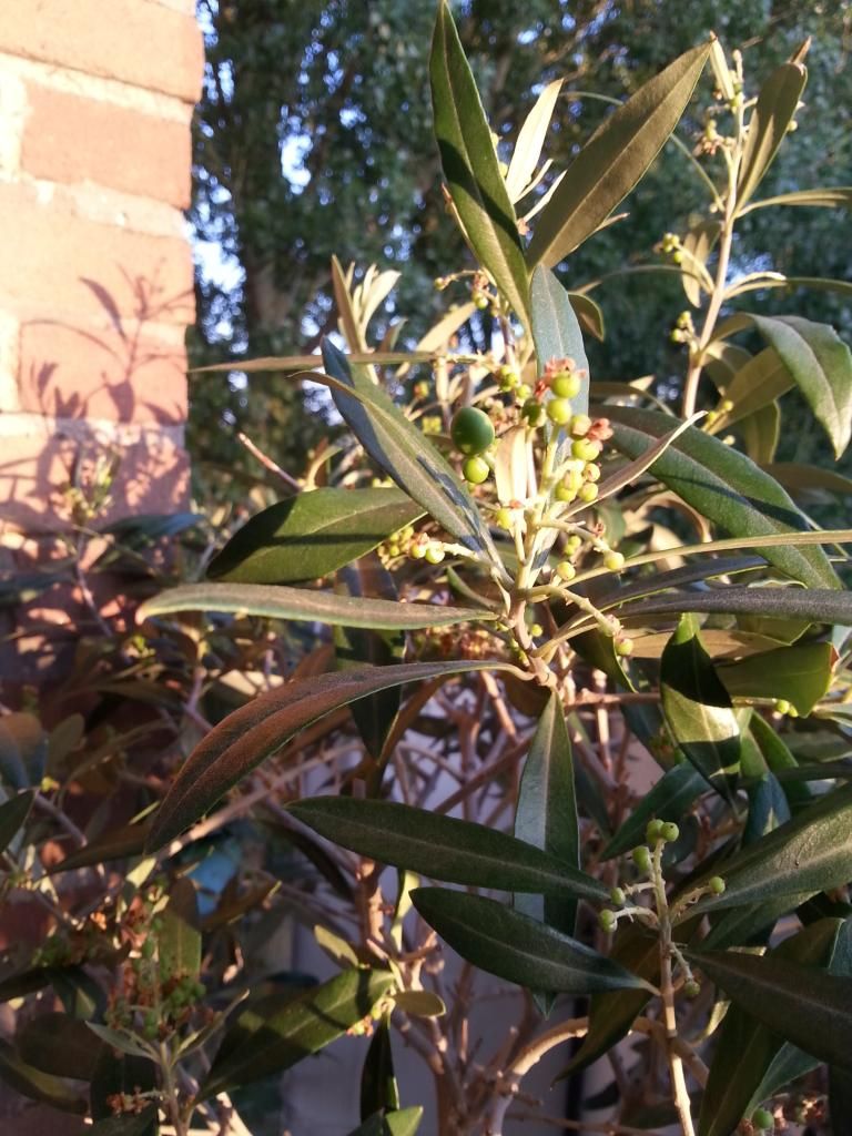 20140804_204632.jpg