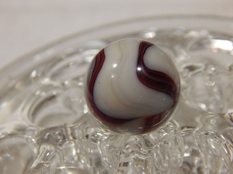 Oxblood zebra? ALL ABOUT MARBLES