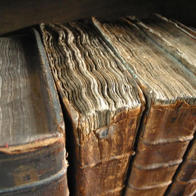 Old_book_bindings_cropped.jpg
