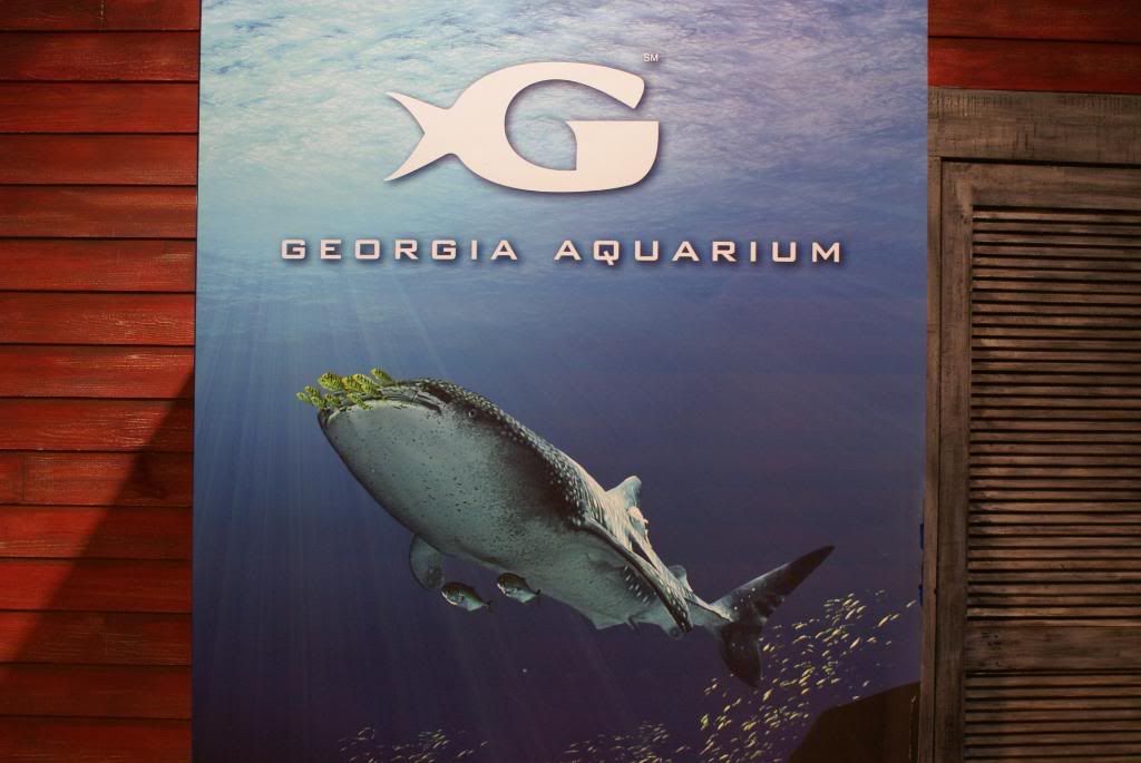DSC04665 - Georgia Aquarium