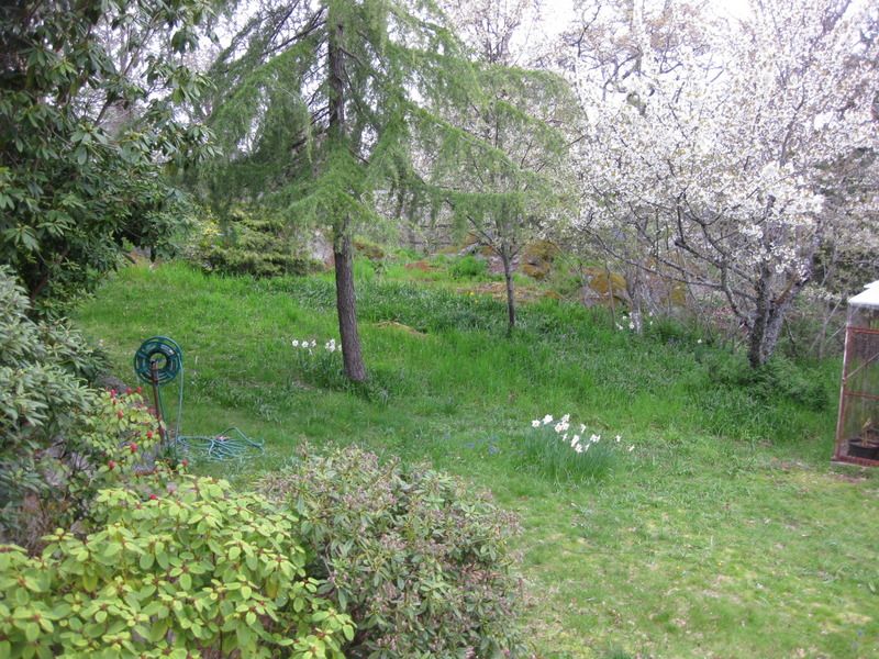 IMG_4191_zpsutn0anad.jpg
