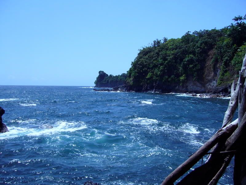 P1020308.jpg