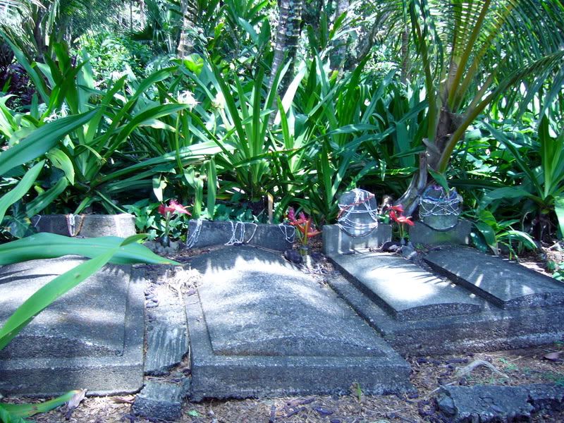 P1020313.jpg