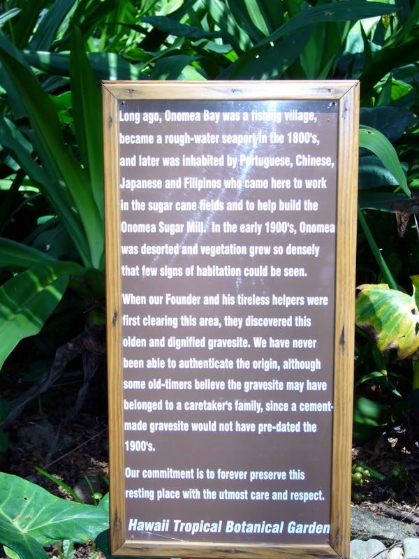 P1020315.jpg