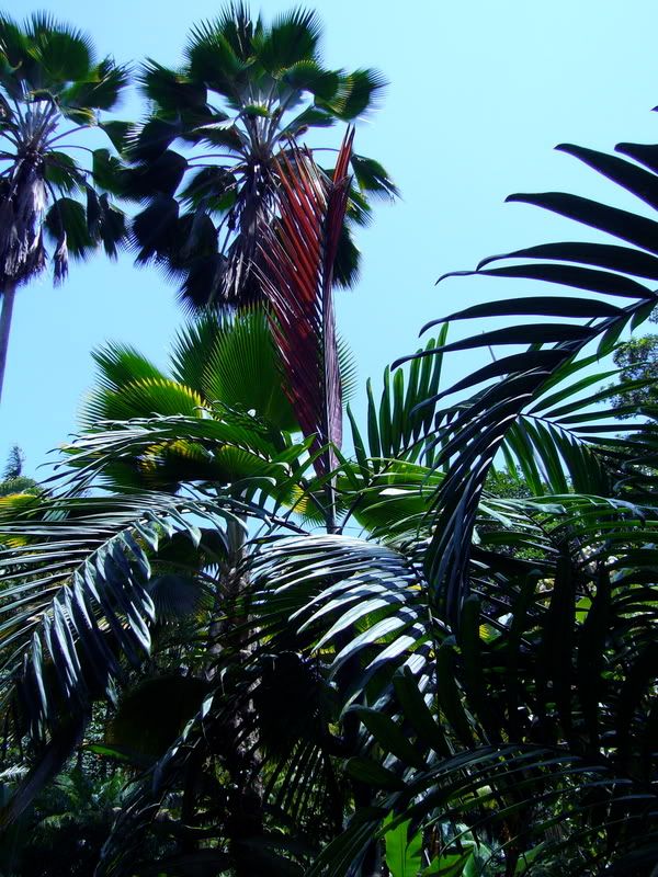 P1020330.jpg