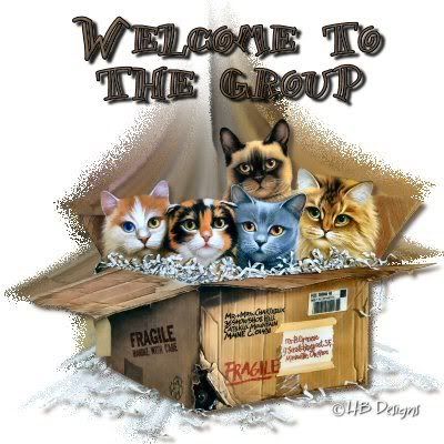 welcome kittys Pictures, Images and Photos