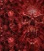 red skull Pictures, Images and Photos