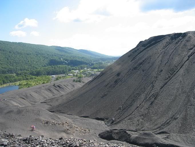 Trevorton Pa Raptor Forum