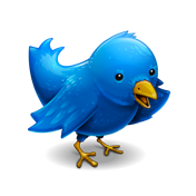 Twitter bird Pictures, Images and Photos