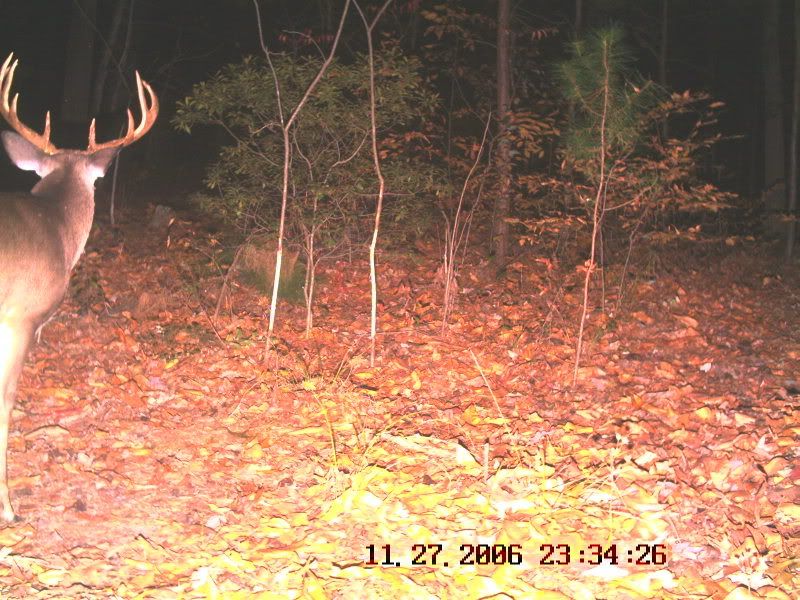 Best Military Base for Hunting?? Archery Talk Forum