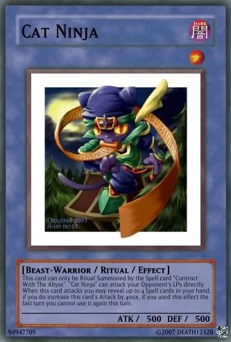 CatNinja.jpg
