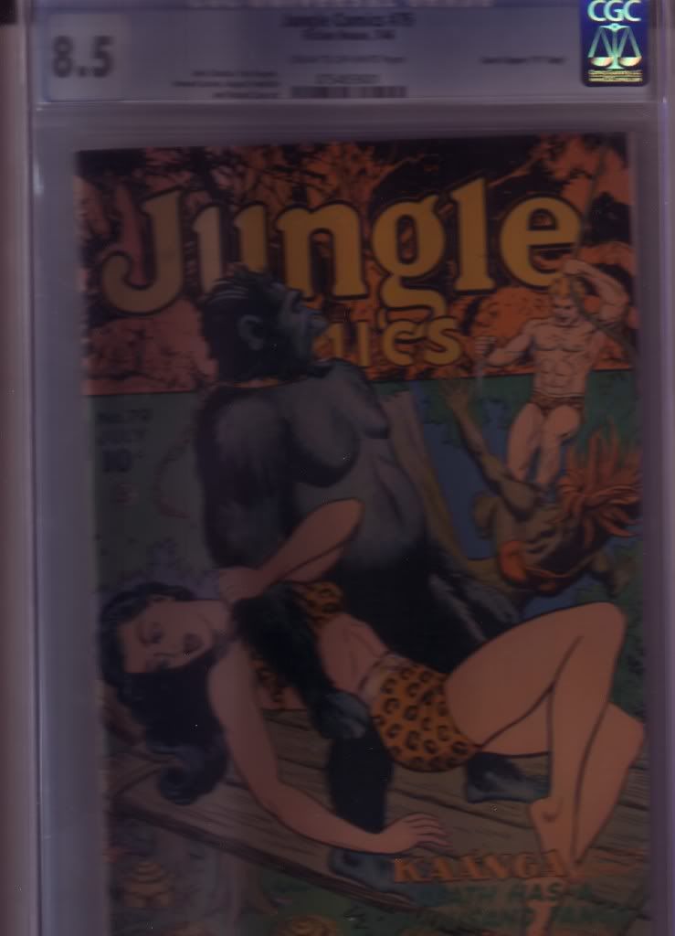 jungle79.jpg