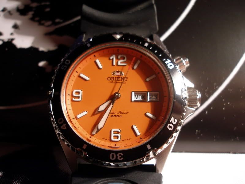 orient mako pret