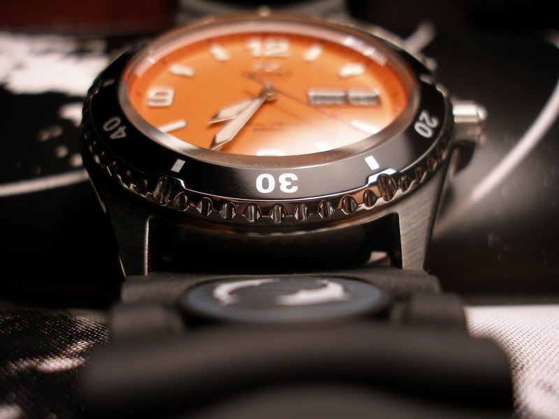 orient mako pret