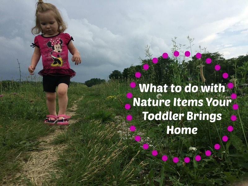 What to do with Nature Items Your Toddler Brings Home - The Hippie Art Studio