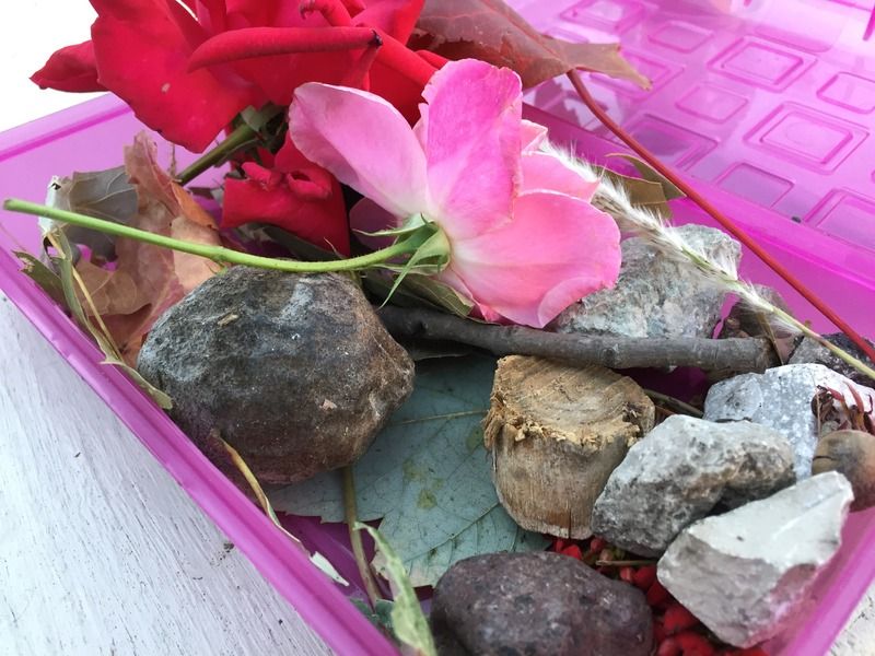 Nature Box for Storing Random Bits Picked Up by Your Toddler - The Hippie Art Studio