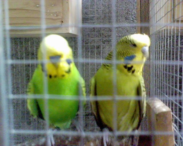 DSC00149.jpg