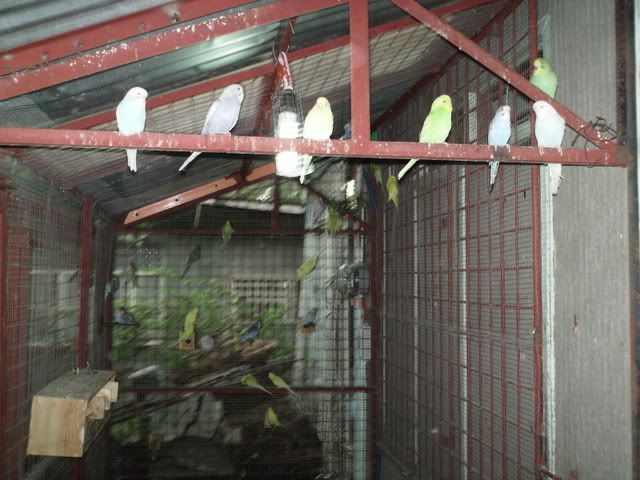 PICT0328.jpg