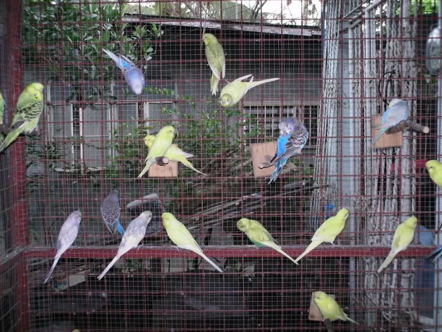 PICT0336.jpg