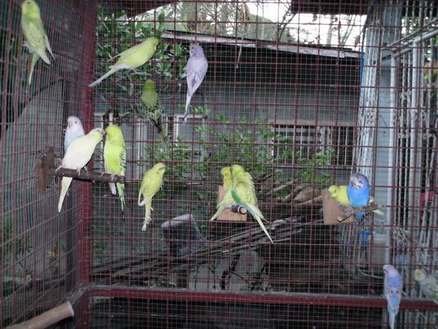 PICT0340.jpg