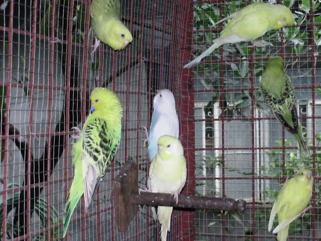 PICT0341.jpg