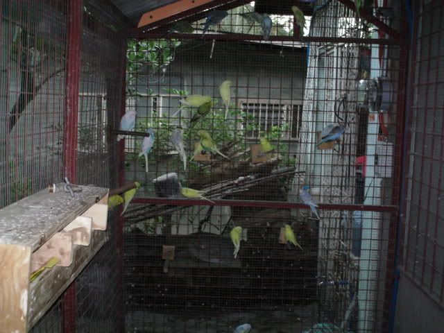 PICT0346.jpg