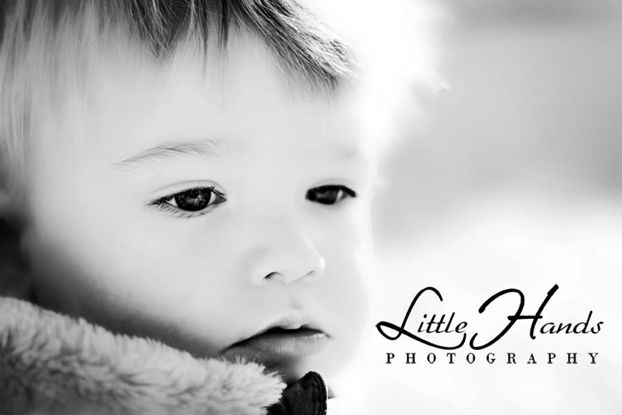 Little Hands Photography