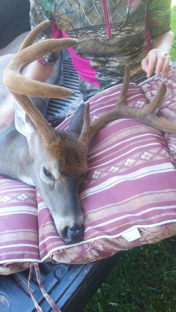 2016 Bow Season Nova Scotia Hunting Forum