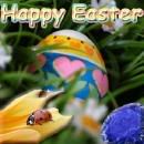 happy easter Pictures, Images and Photos