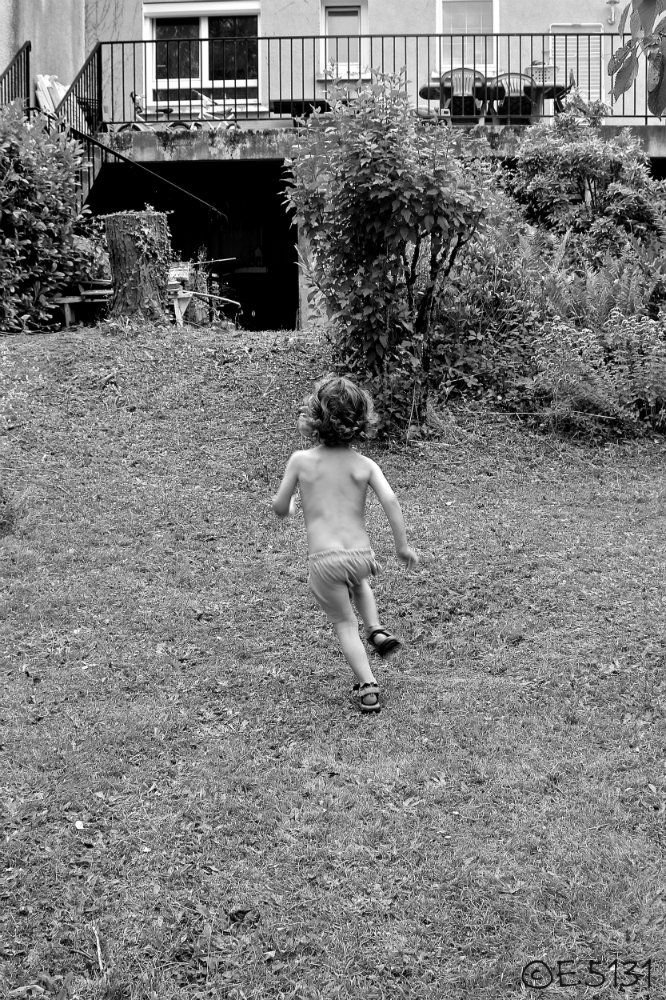 "Toupetitou échappe au jardin..." ©E.5131