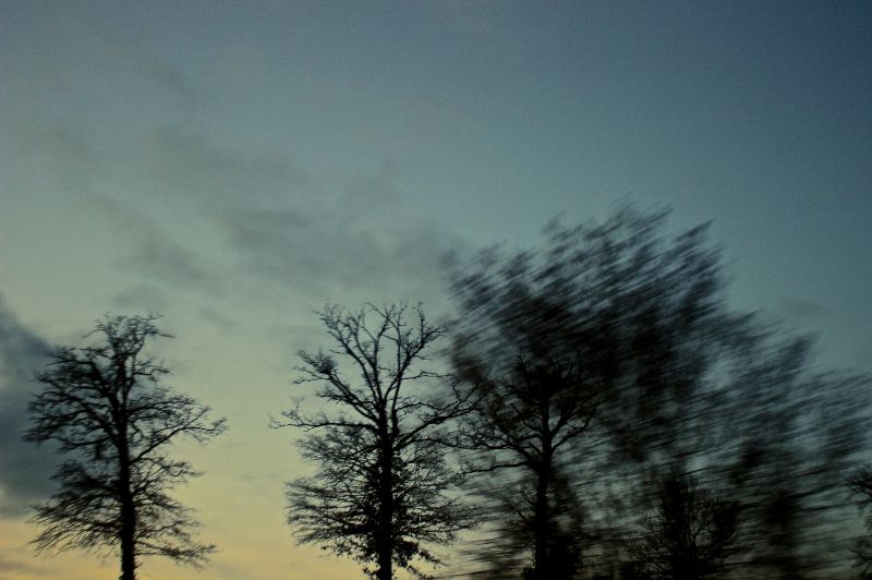 "Loin du monde" ©E.5131