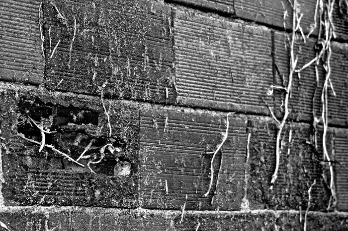 "au pied du mur..." ©E.5131