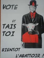 "vote et tais-toi !" © RedMouse