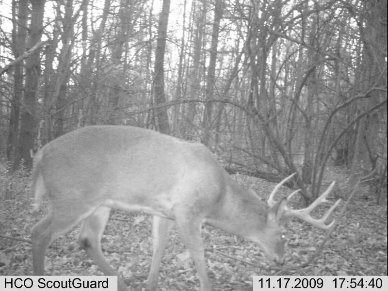 trailcampics2009and2010008.jpg