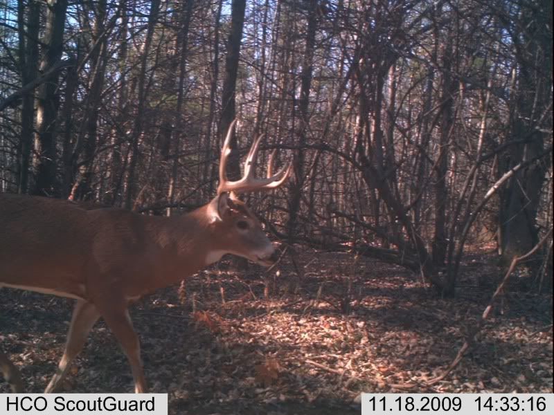 trailcampics2009and2010012.jpg