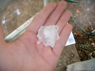 what I THOUGHT was a big hail stone