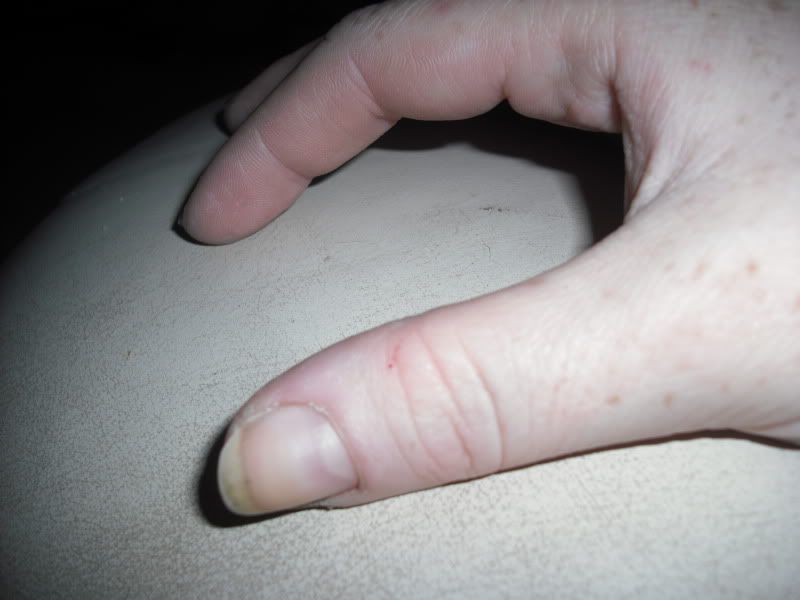 DSCF6032.jpg