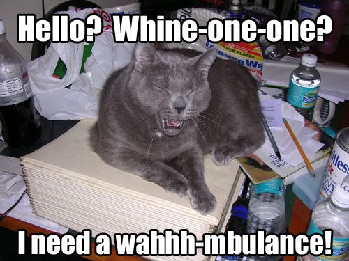 WHAMBULANCE photo: call whambulance waahmbulance.jpg