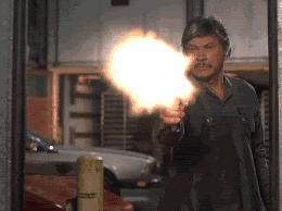 bronson1234.gif