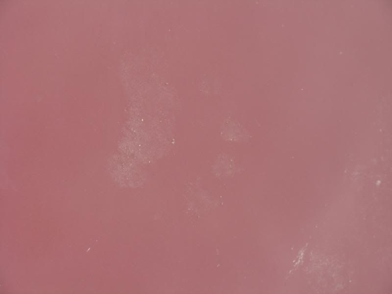 Bear Paws on the hood