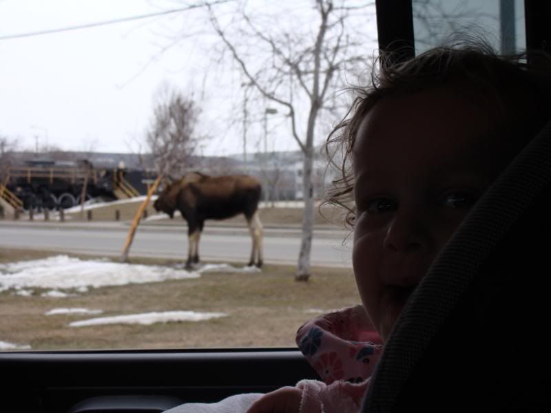 Autumn pointed him out