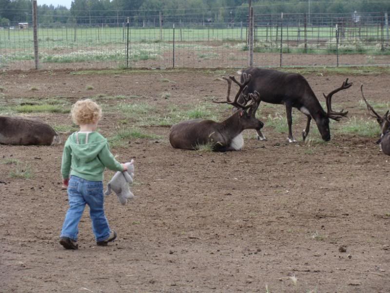 LIttle girl in a big world